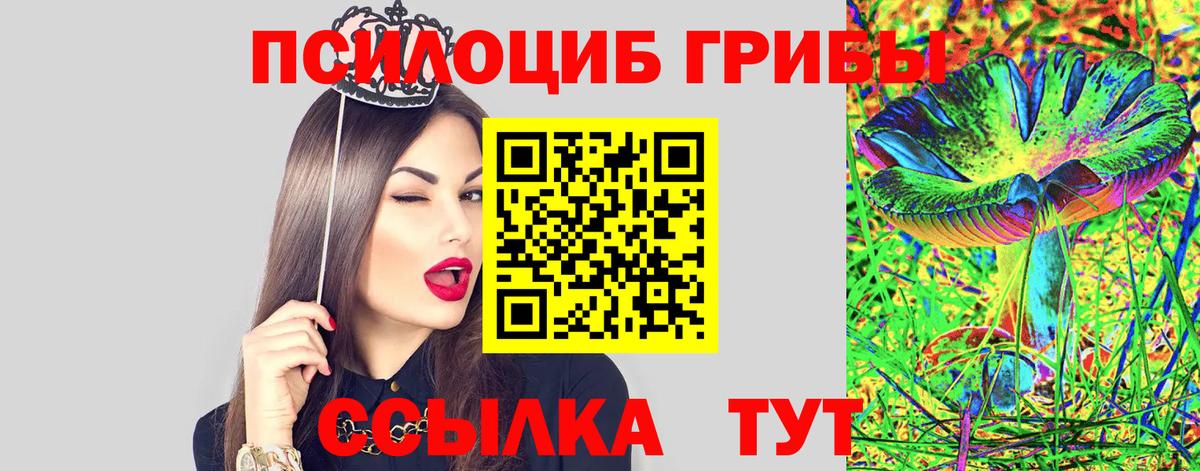 Псилоцибиновые грибы мухоморы  купить наркотик  Касимов  Псилоцибиновые грибы мицелий  Вход с VPN 