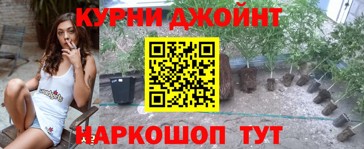 МАРИХУАНА OG Kush Касимов